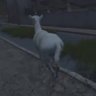 Evil_eye_gaming's profile picture