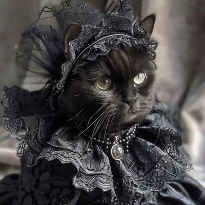 chyletaaa's profile picture