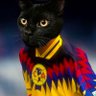 Daniel Gonzalez's profile picture