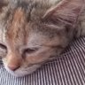 🔴💜 دونا profil fotoğrafı