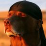 Notitreally's profile picture