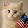 Kitty USA 的头像