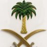 صفاعسيري's profile picture