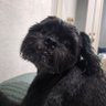 Profilbild von CarMay