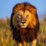 Pavvi Prince's profile picture