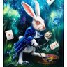 🐇White Rabbit🐇 的头像