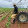 Poor Farmer⚖️🇺🇬's profile picture