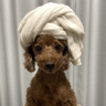 Sain C.'s profile picture