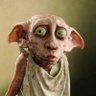 Engin Dolar's profile picture