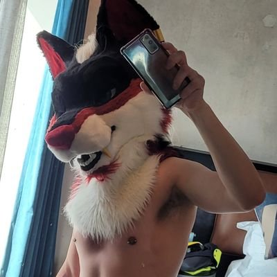 ZazelKnotDog's profile picture