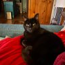 Blondekittie profil fotoğrafı