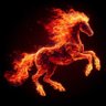 Profilbild von Burning Horse
