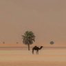 ياسمين 的头像