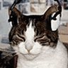 Profilbild von anxious ssquicy !