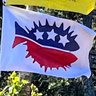 AtlanticHam ⛵️'s profile picture