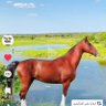 Jamal Mohammed's profile picture