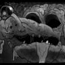horrorfan78's profile picture