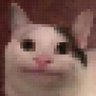 Profilbild von jin