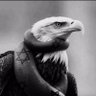 Profilbild von DLE