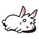 ARISS SIRIA's profile picture