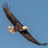 discuss_with_integrity's profile picture