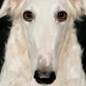 Profilbild von Ken