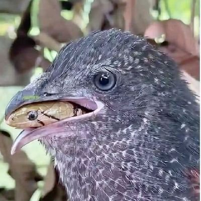 ss_uulq09's profile picture