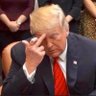 BRI_MAGA 的头像