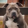 Marie T profil fotoğrafı