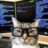 BitKat profil fotoğrafı