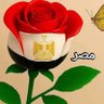 Abdelrahman Bakr profil fotoğrafı