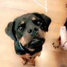 kdawgruff profil fotoğrafı