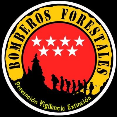 BBFFMadrid's profile picture