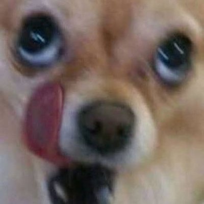 KkoljalAl's profile picture