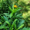 Фото профиля Sanmike