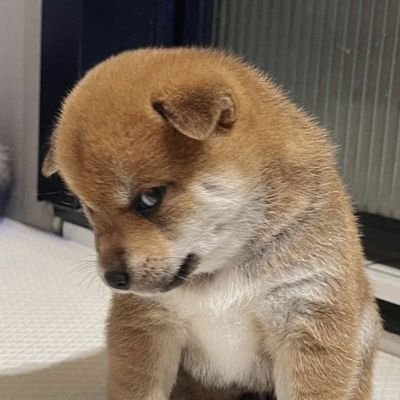 jwlx1717's profile picture