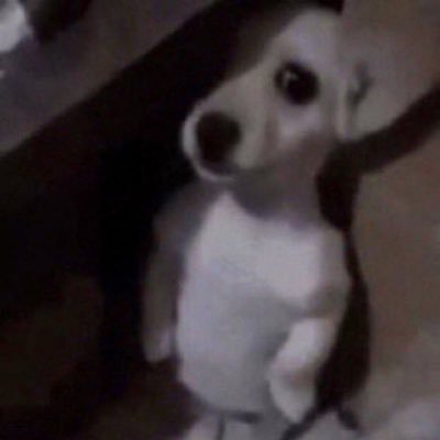 DaveWallacee's profile picture