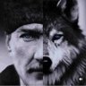 AŞİNA's profile picture