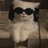 svet's profile picture