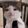 DrDarqq's profile picture