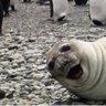 Profilbild von ardentcritic2