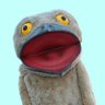 まけどり's profile picture