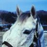 oguri19850327 profil fotoğrafı