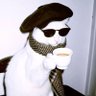 Kazakh's profile picture