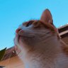 ゆう🌻 profil fotoğrafı
