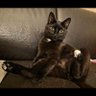 S3K0 profil fotoğrafı