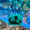 みぃ 的头像