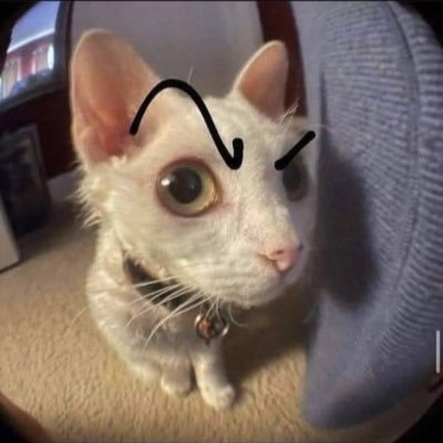 beiucuanh_0's profile picture