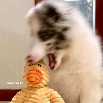 เป็ดหลิง🐥's profile picture