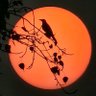 Chetan Bhardwaj's profile picture